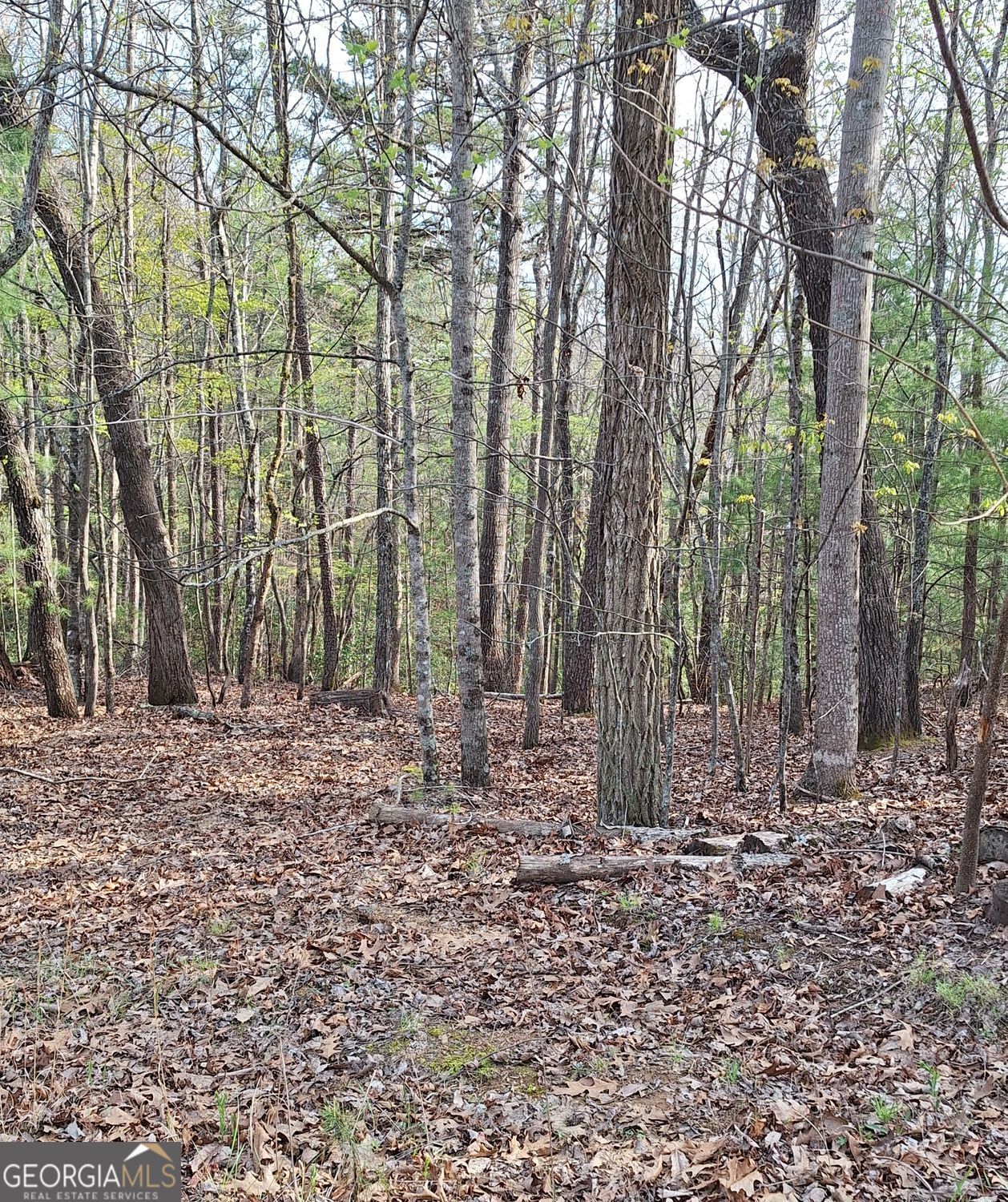 0 Mull Lane Circle Morganton GA 30560