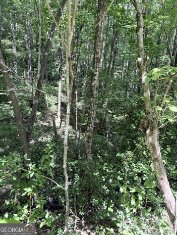 Lot 856 Larkspur Lane Clayton GA 30525