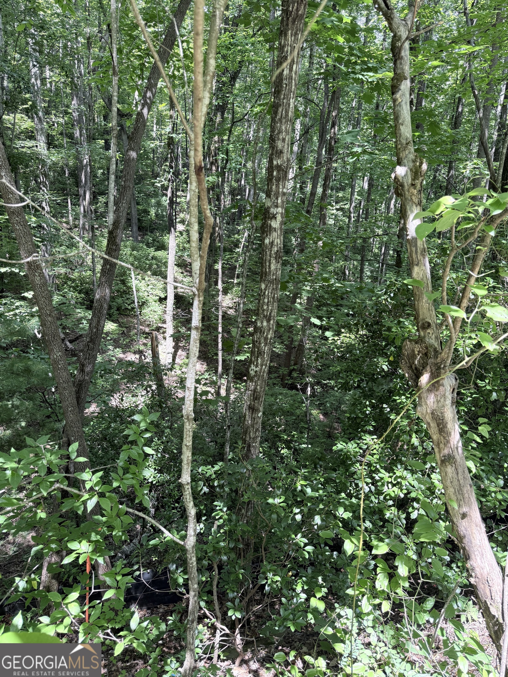 Lot 856 Larkspur Lane Clayton GA 30525