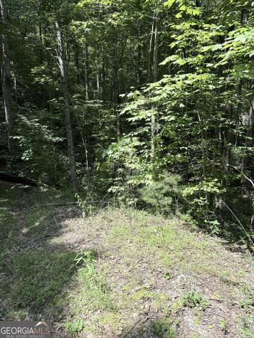 Lot 856 Larkspur Lane Clayton GA 30525