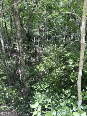 Lot 856 Larkspur Lane Clayton GA 30525