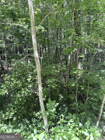 Lot 856 Larkspur Lane Clayton GA 30525