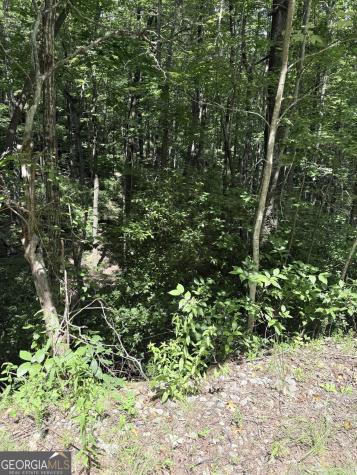 Lot 856 Larkspur Lane Clayton GA 30525