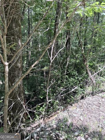 Lot 856 Larkspur Lane Clayton GA 30525