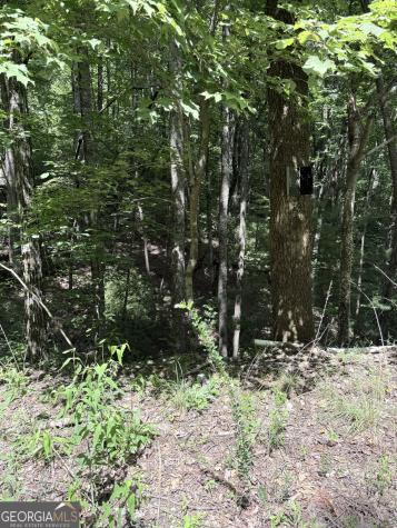 Lot 856 Larkspur Lane Clayton GA 30525