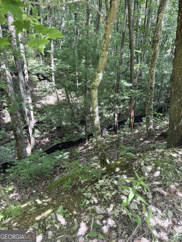 Lot 856 Larkspur Lane Clayton GA 30525