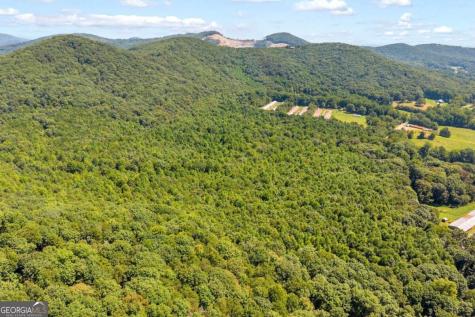0 Highway 115 Cleveland GA 30528
