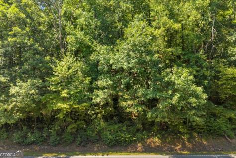 0 Highway 115 Cleveland GA 30528