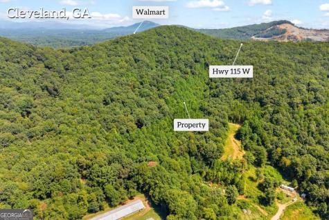 0 Highway 115 Cleveland GA 30528