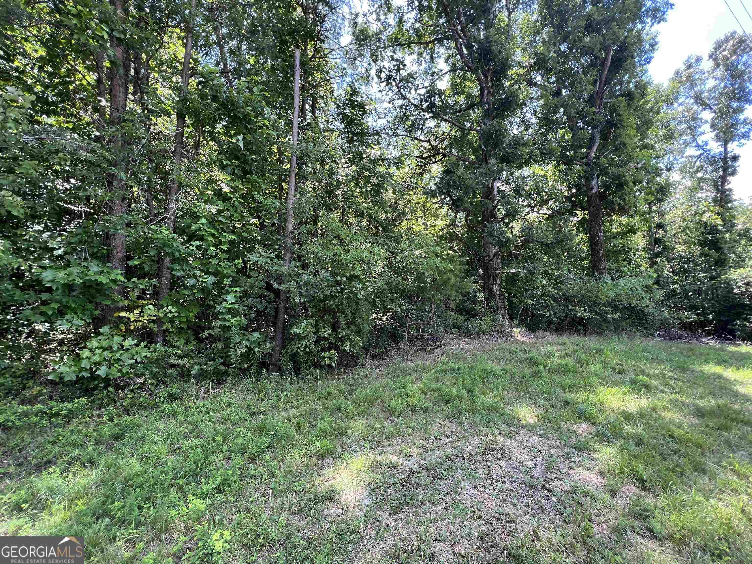 0 W Kytle Street Cleveland GA 30528