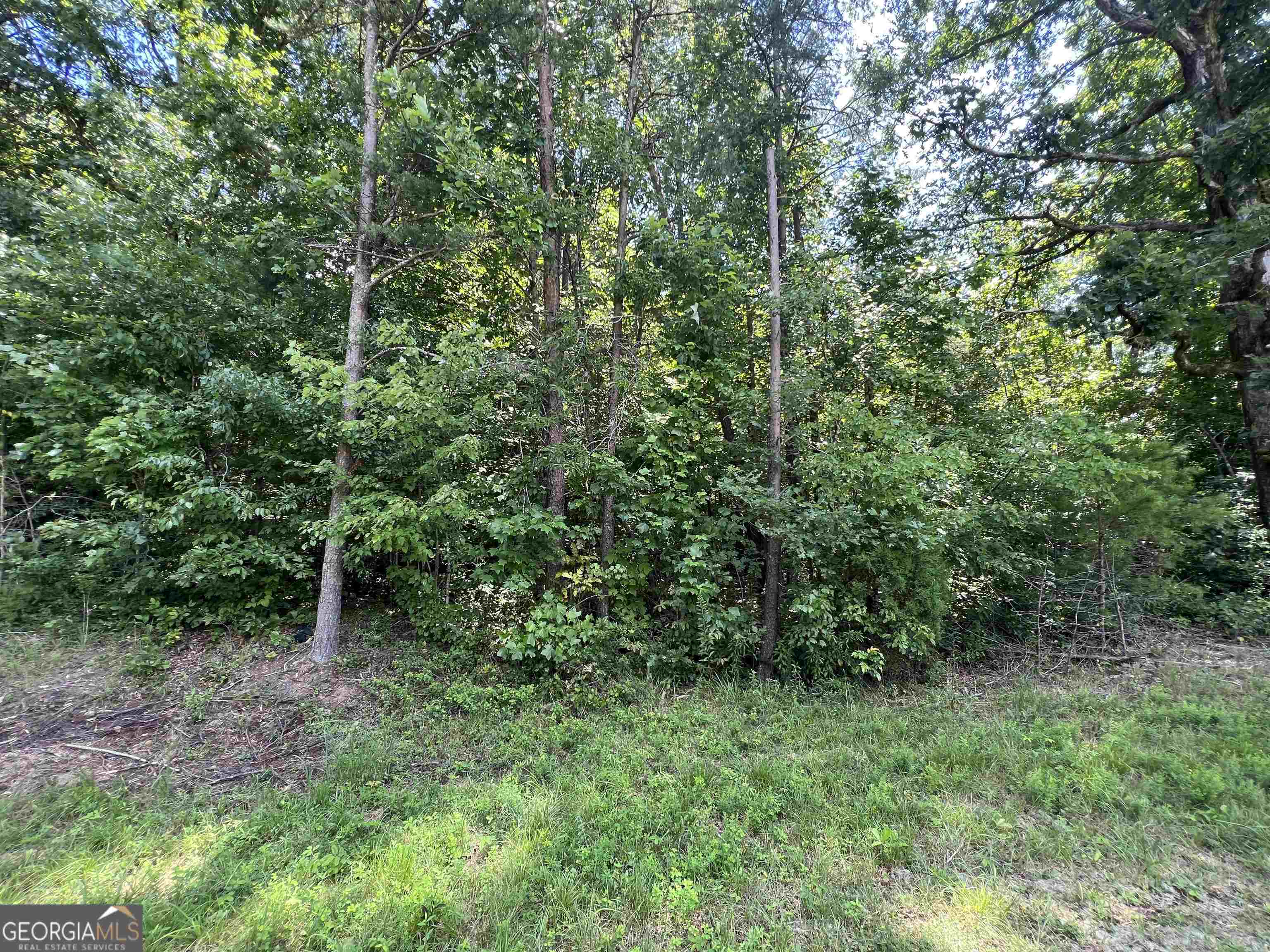 0 W Kytle Street Cleveland GA 30528