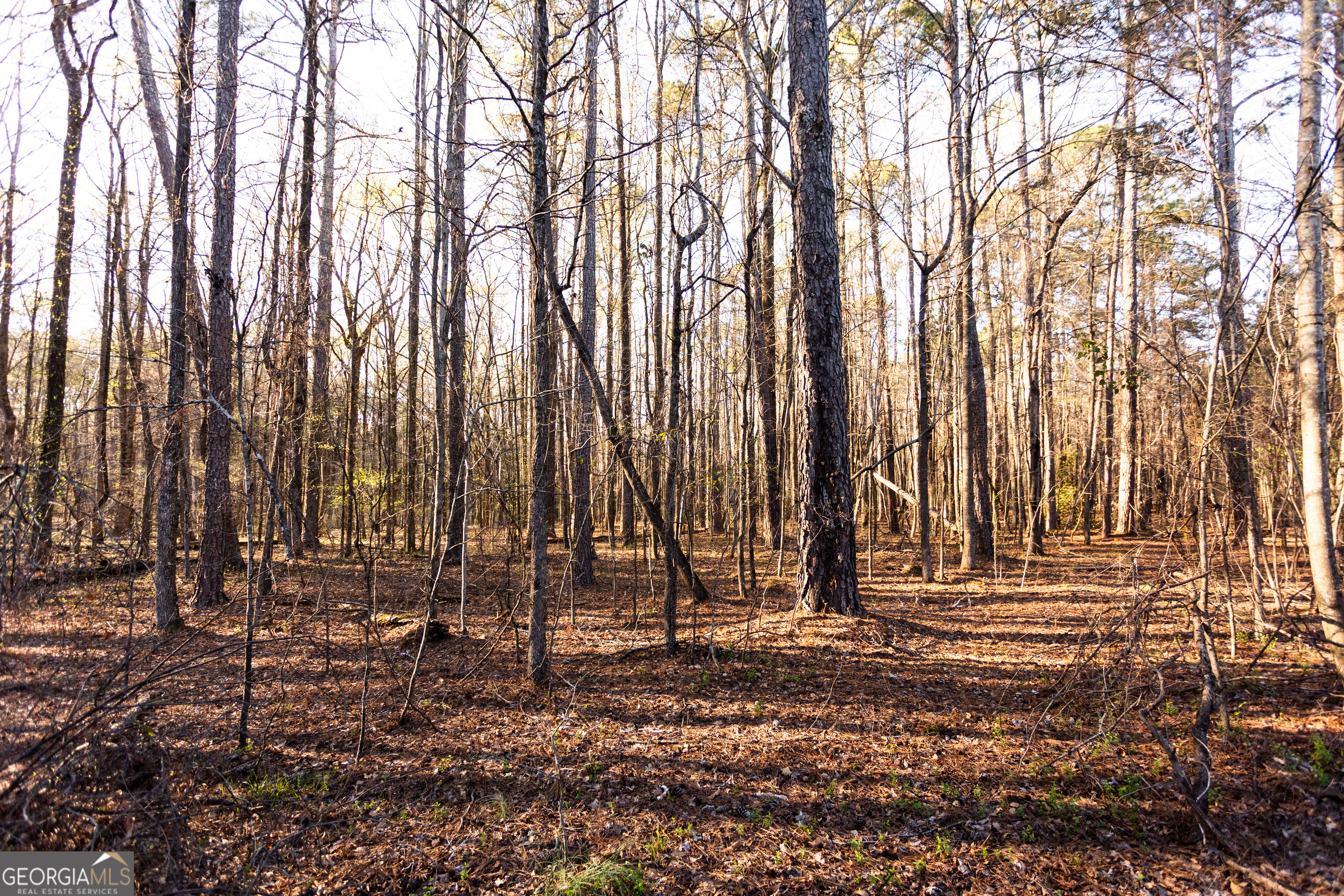 0 Social Circle Parkway Social Circle GA 30025