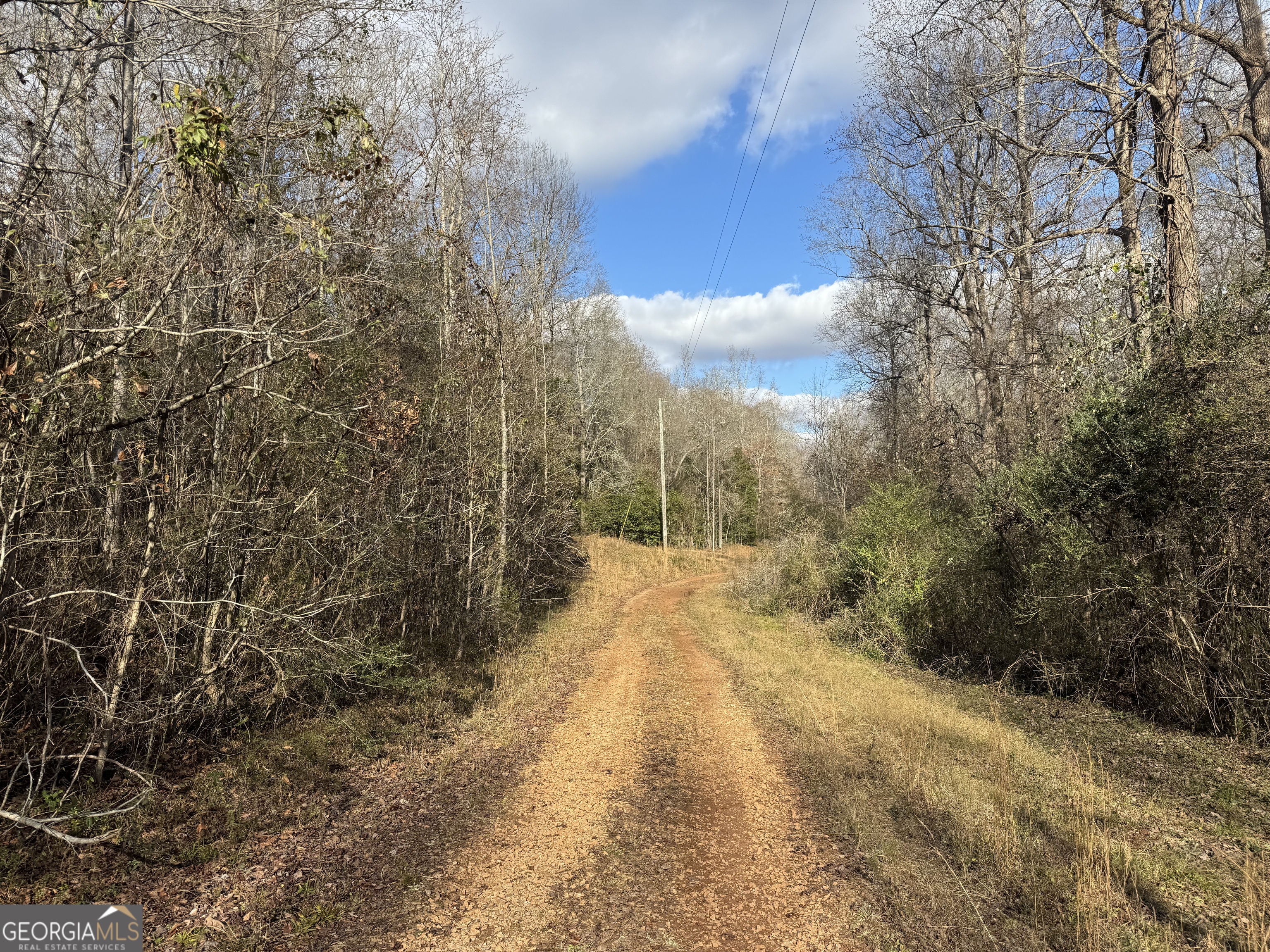 1190 James Adams Road Danielsville GA 30633