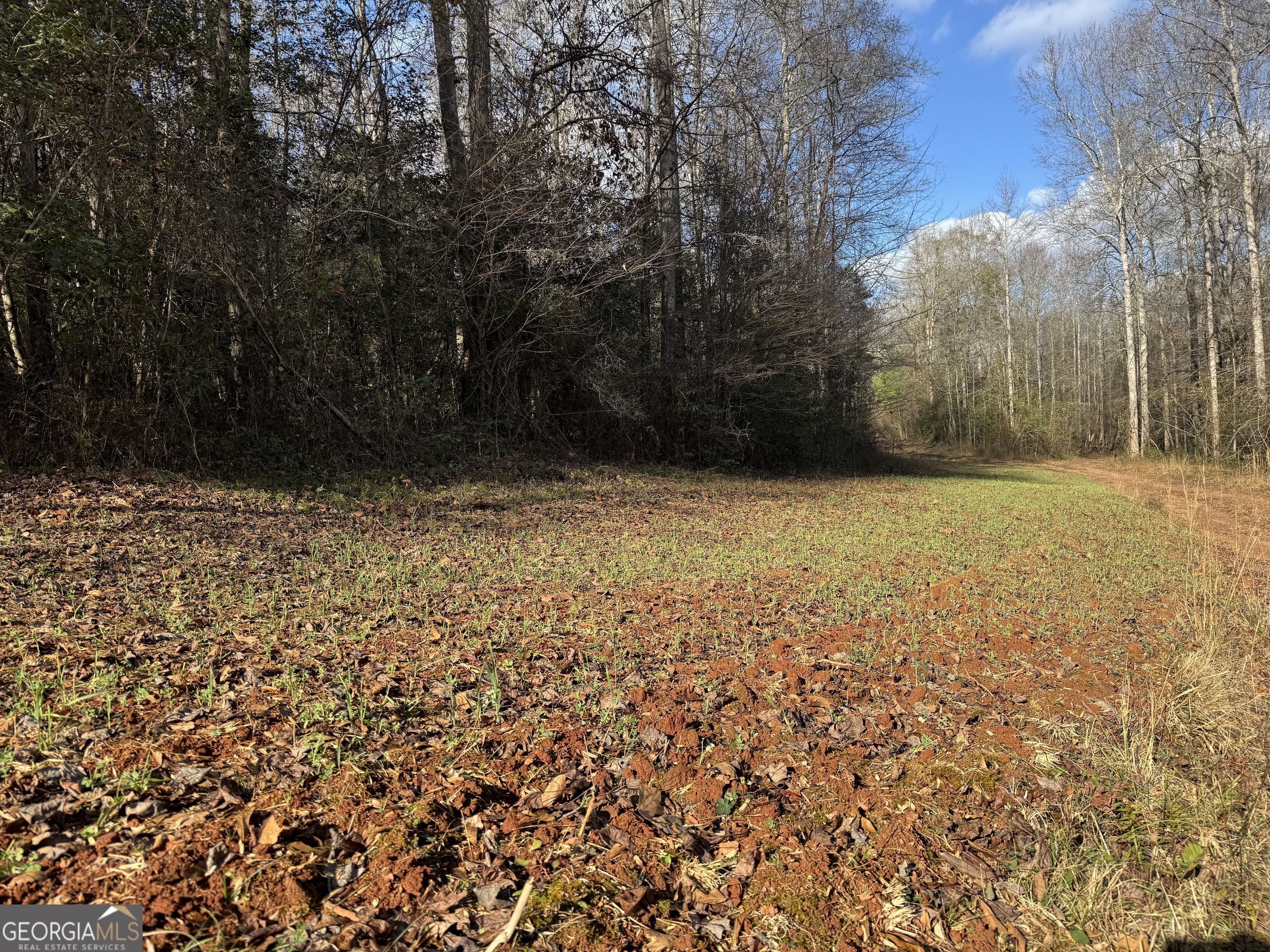 1190 James Adams Road Danielsville GA 30633