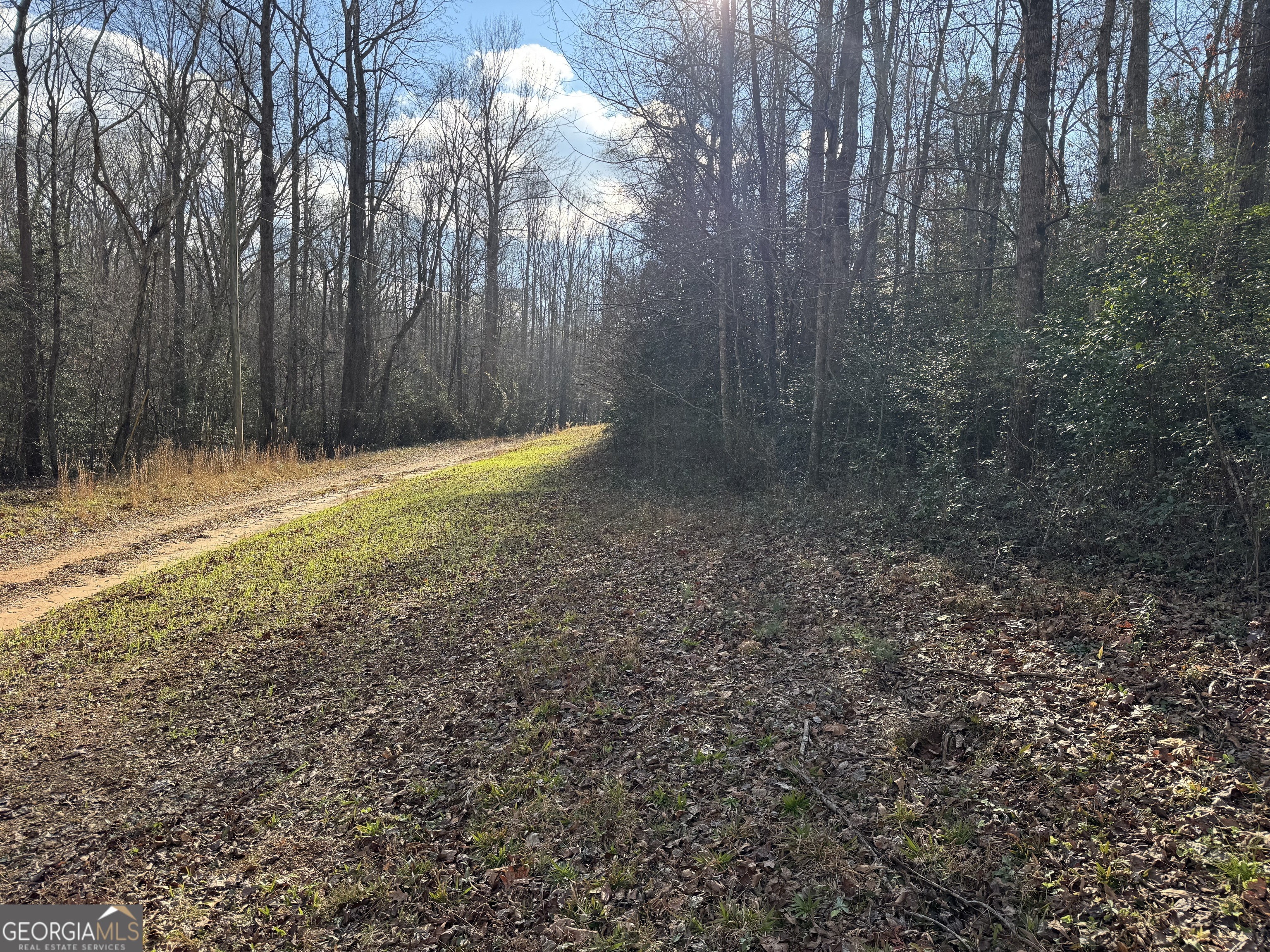 1190 James Adams Road Danielsville GA 30633
