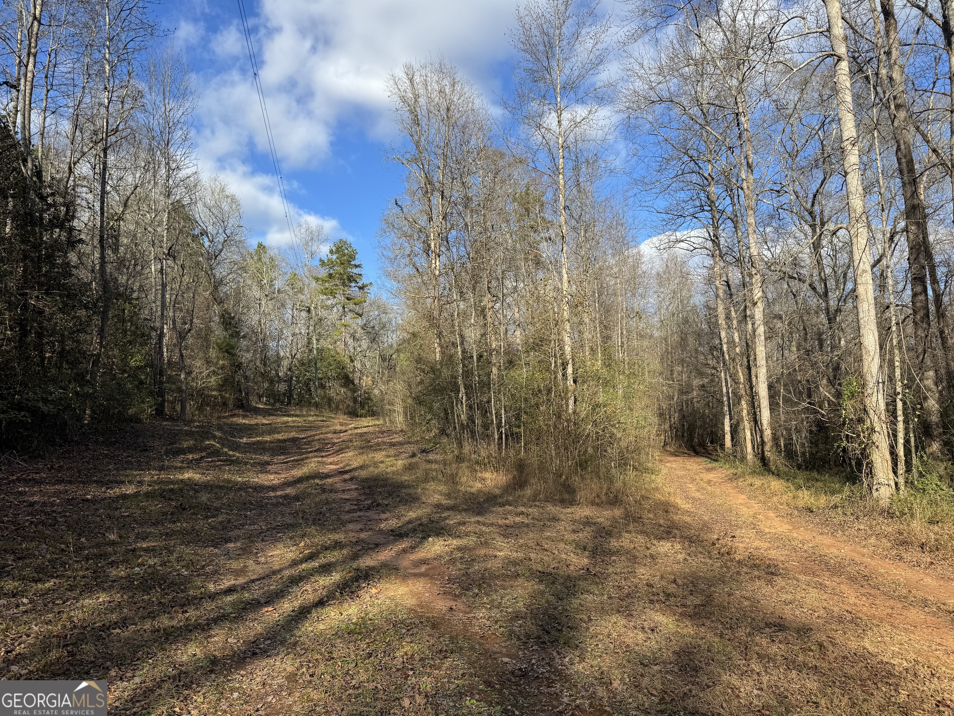 1190 James Adams Road Danielsville GA 30633