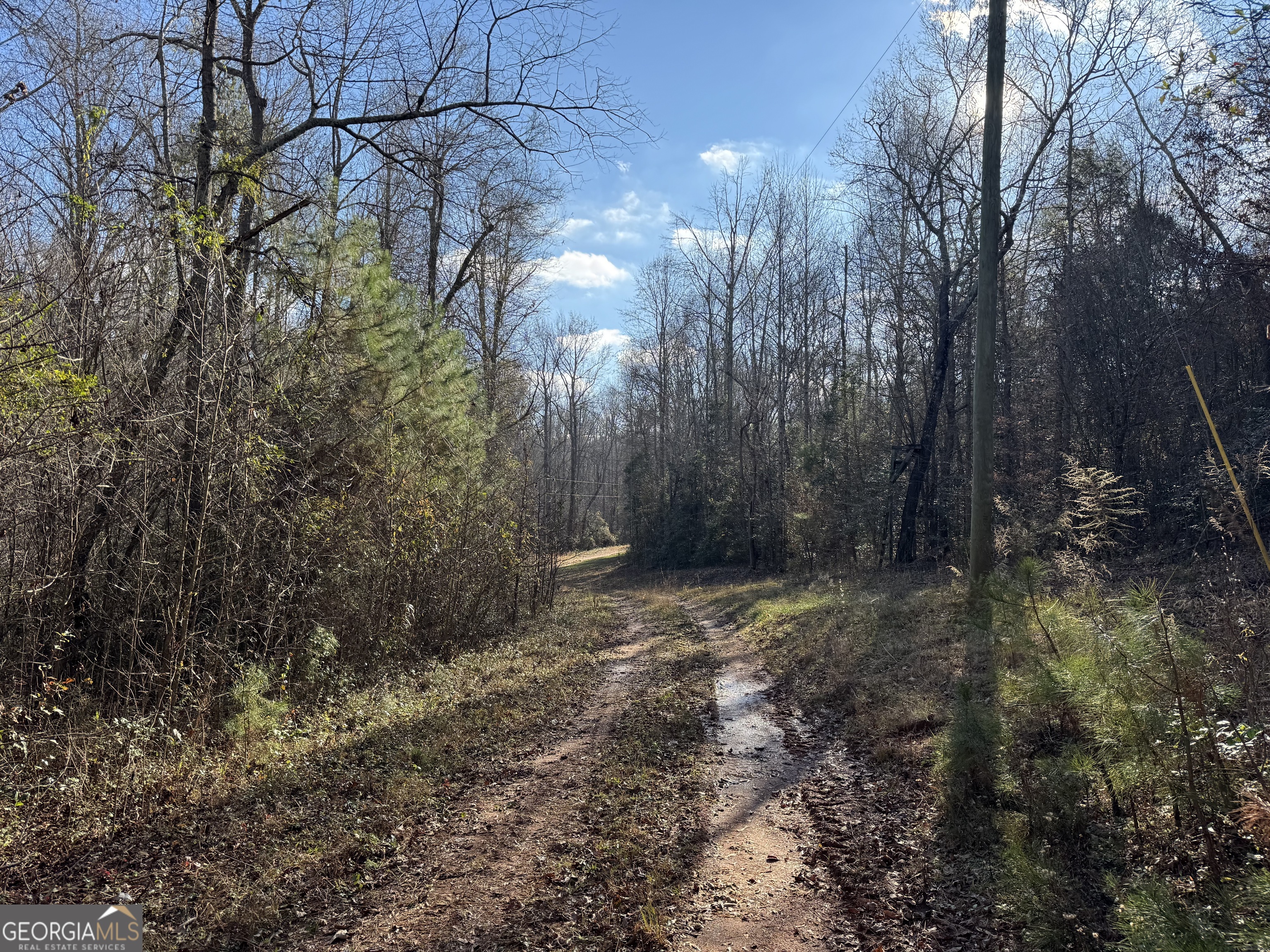1190 James Adams Road Danielsville GA 30633
