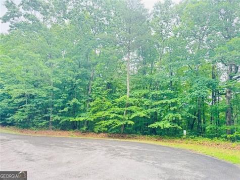 0 Highpointe Trail Ellijay GA 30536