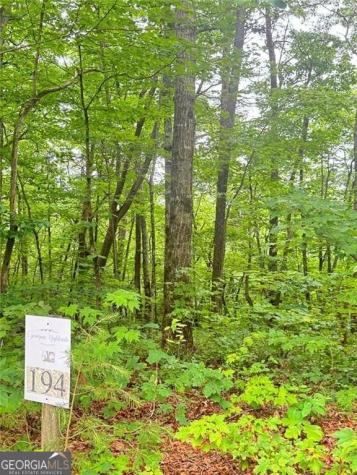 0 Highpointe Trail Ellijay GA 30536