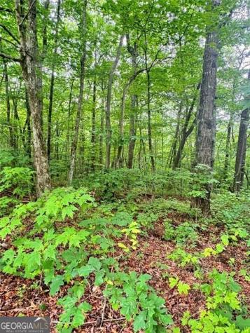 0 Highpointe Trail Ellijay GA 30536