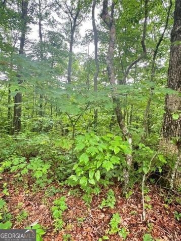 0 Highpointe Trail Ellijay GA 30536