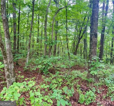 0 Highpointe Trail Ellijay GA 30536