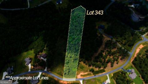 Lot 343 Loop Lane Blairsville GA 30512