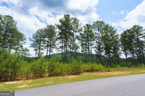 Lot 343 Loop Lane Blairsville GA 30512