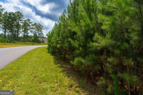 Lot 343 Loop Lane Blairsville GA 30512