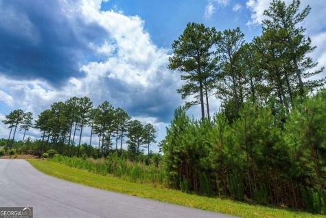 Lot 343 Loop Lane Blairsville GA 30512