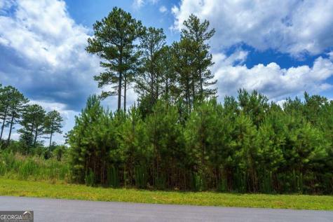 Lot 343 Loop Lane Blairsville GA 30512