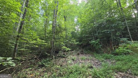 Lot 14 Kilpatrick Point Terrace Hayesville NC 28904