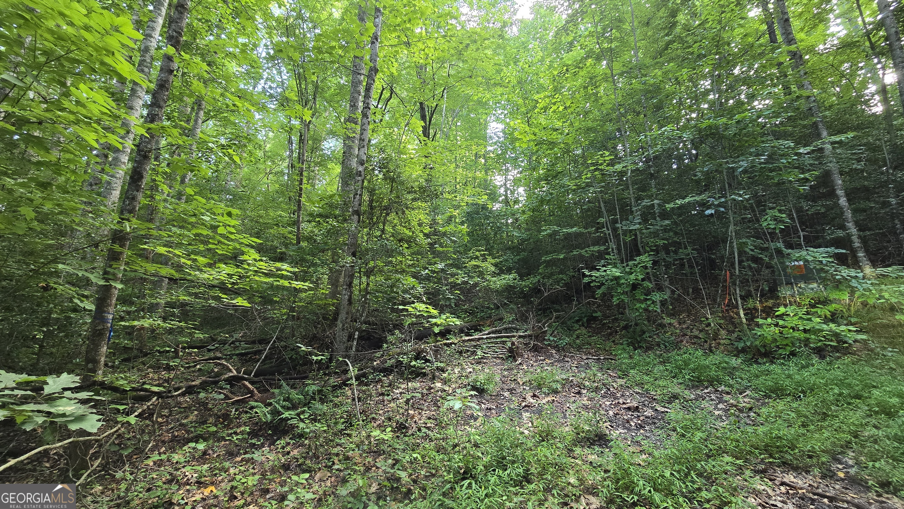 Lot 14 Kilpatrick Point Terrace Hayesville NC 28904