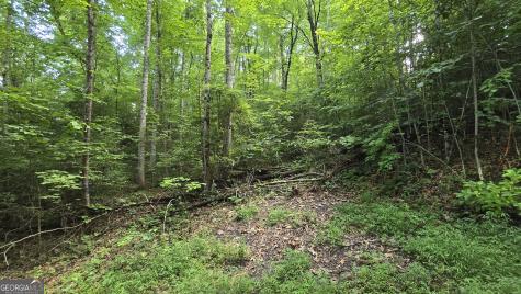 Lot 14 Kilpatrick Point Terrace Hayesville NC 28904