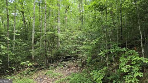 Lot 14 Kilpatrick Point Terrace Hayesville NC 28904