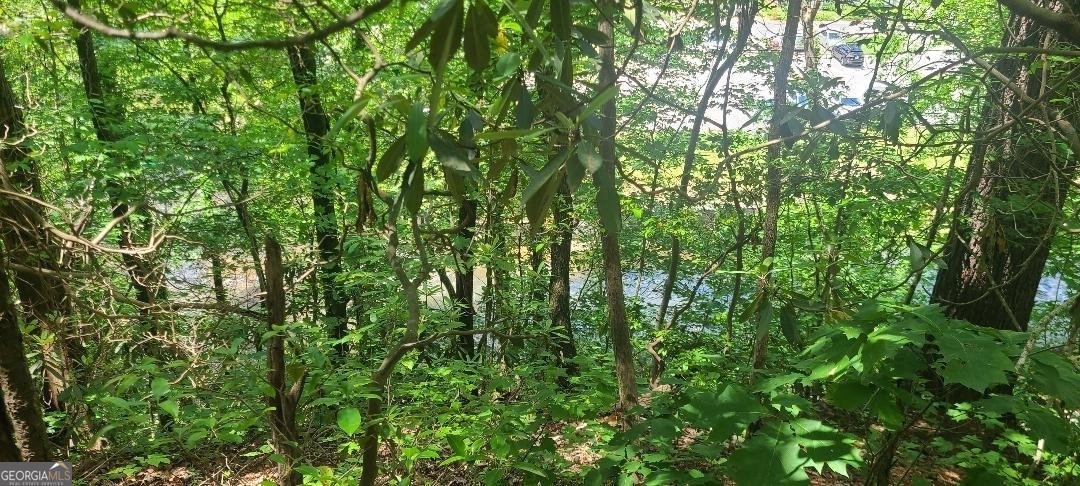 0 Ber Weg Helen GA 30545