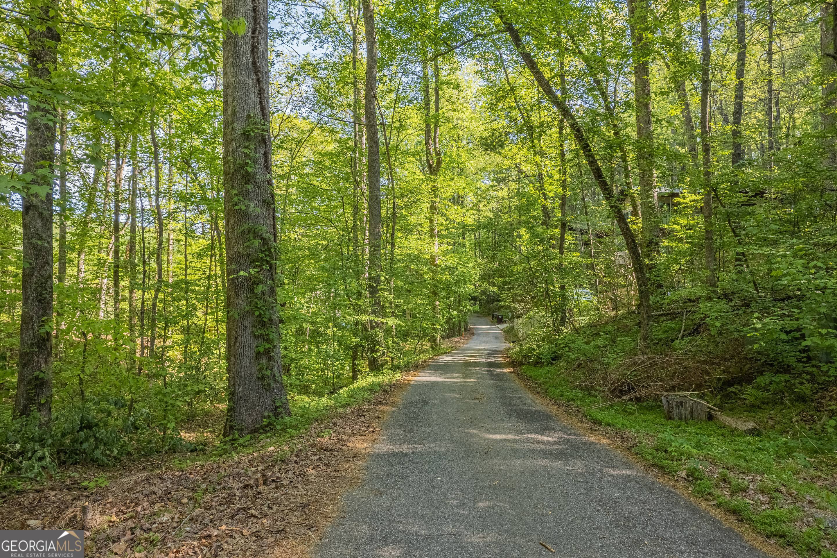 0 Ber Weg Helen GA 30545