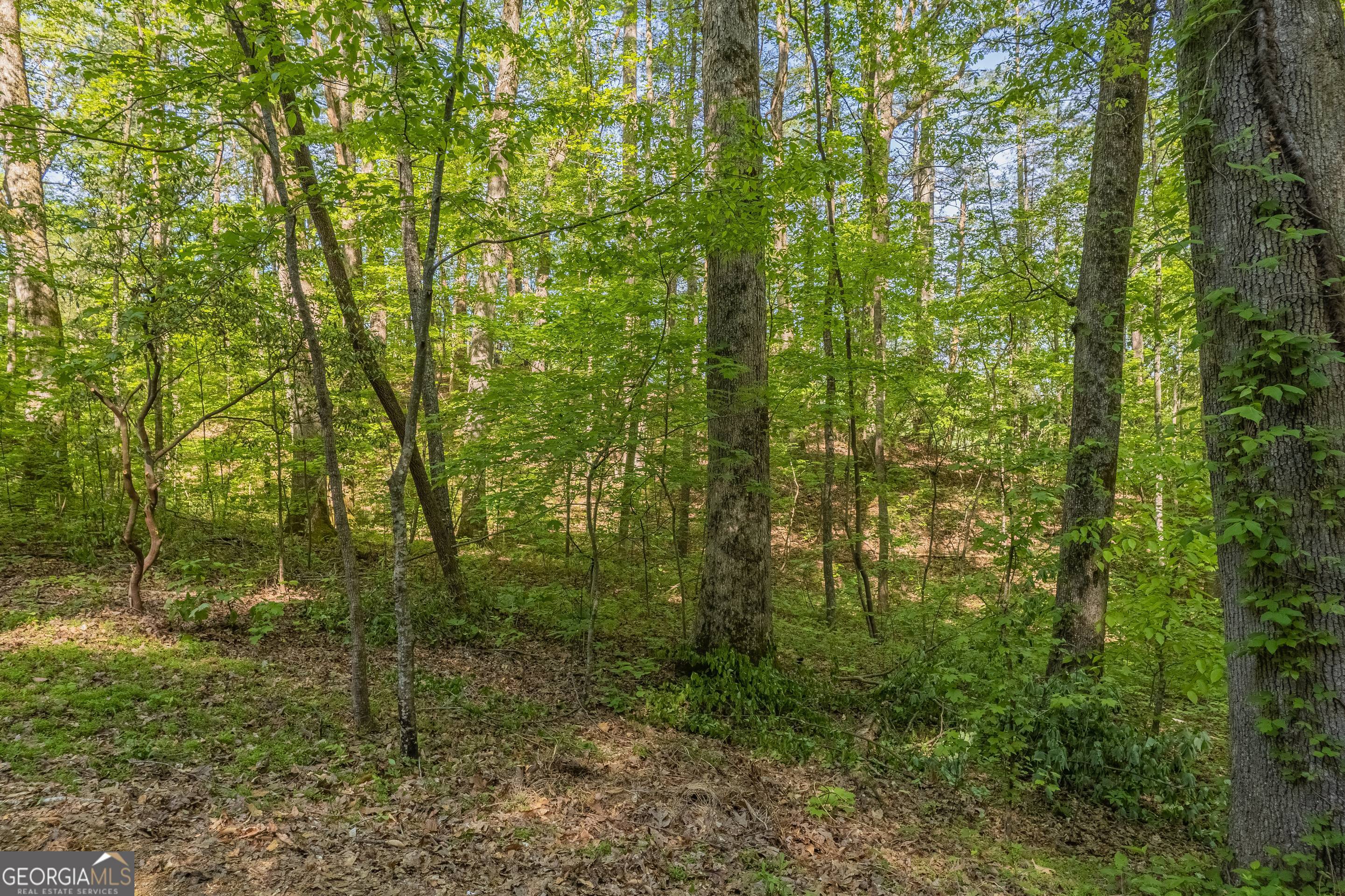 0 Ber Weg Helen GA 30545