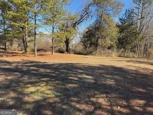 841 Highway 17 Toccoa GA 30577