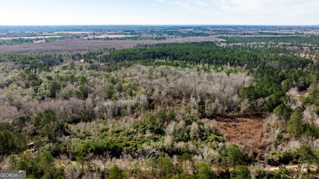 0 Riggs Mill La Riggs Mill Lane Statesboro GA 30458