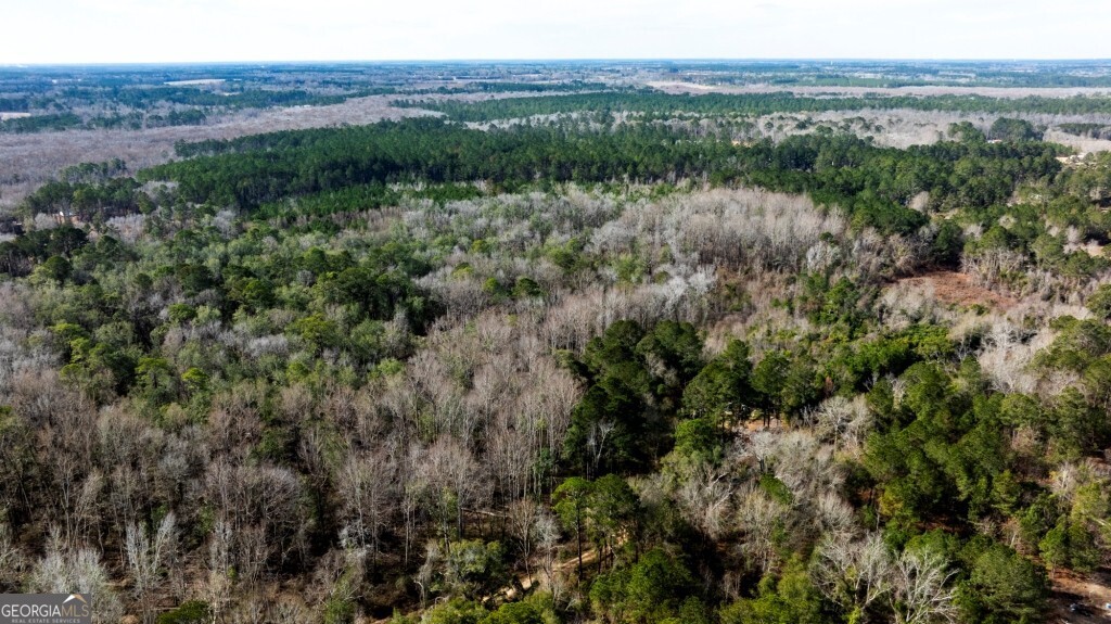 0 Riggs Mill La Riggs Mill Lane Statesboro GA 30458