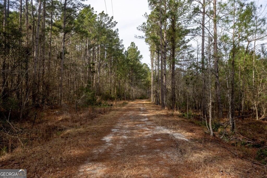 0 Riggs Mill La Riggs Mill Lane Statesboro GA 30458