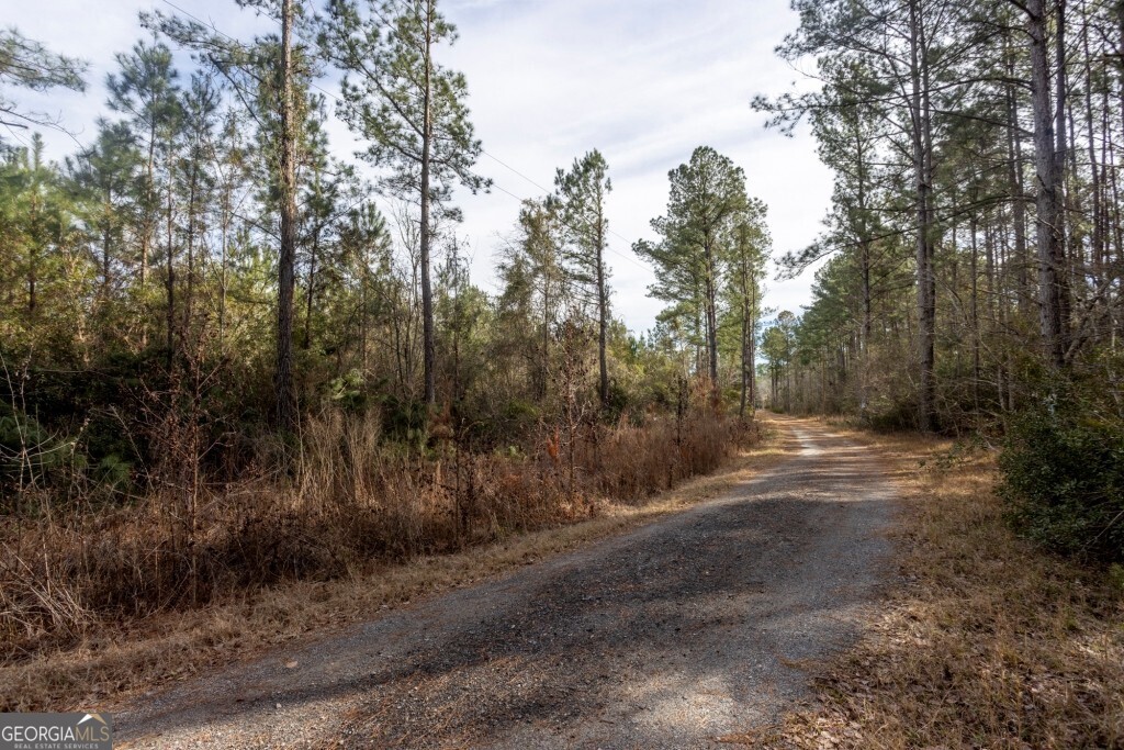 0 Riggs Mill La Riggs Mill Lane Statesboro GA 30458