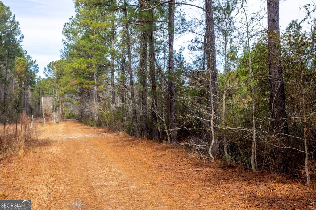 0 Riggs Mill La Riggs Mill Lane Statesboro GA 30458