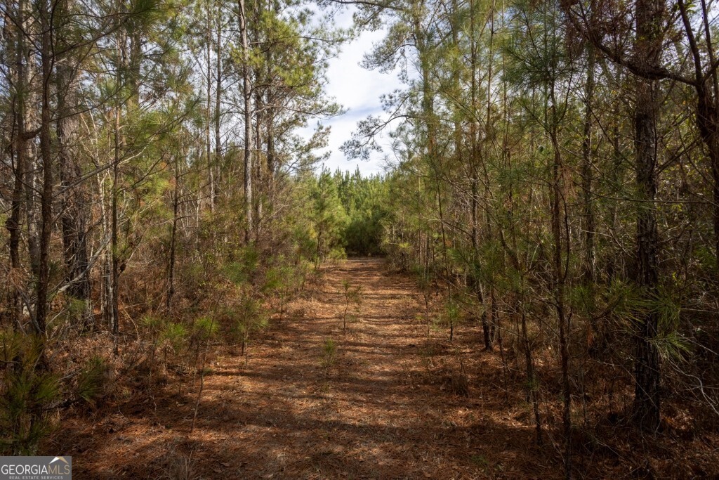 0 Riggs Mill La Riggs Mill Lane Statesboro GA 30458
