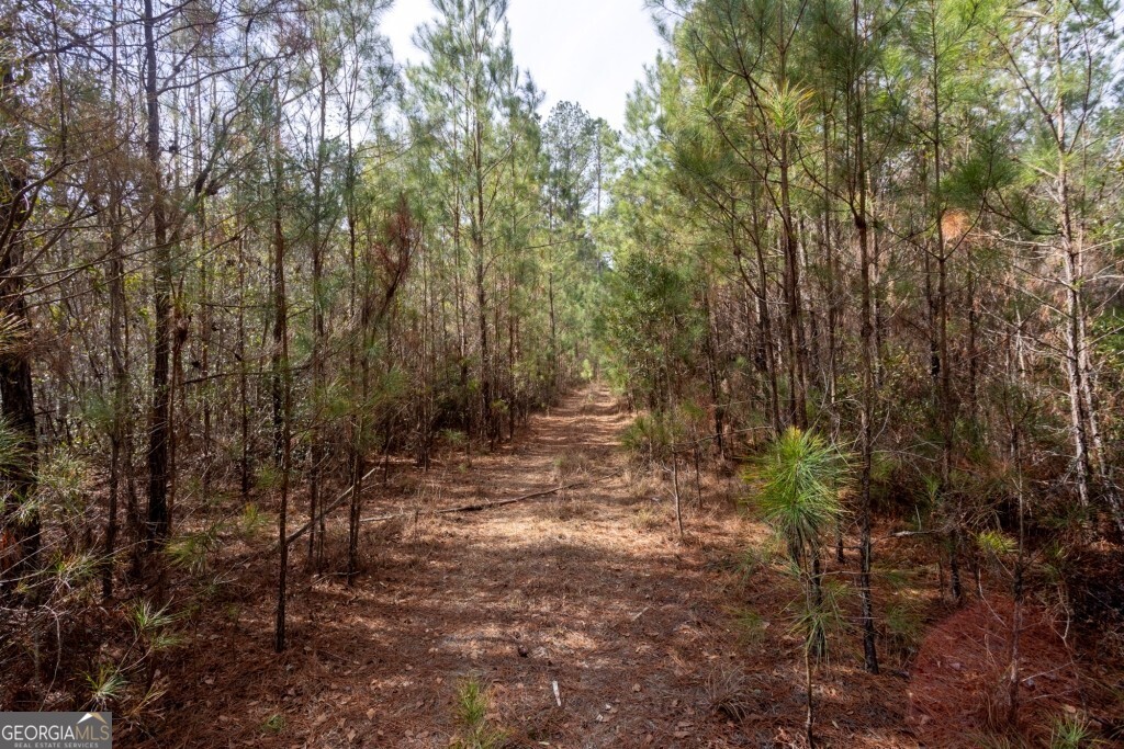 0 Riggs Mill La Riggs Mill Lane Statesboro GA 30458