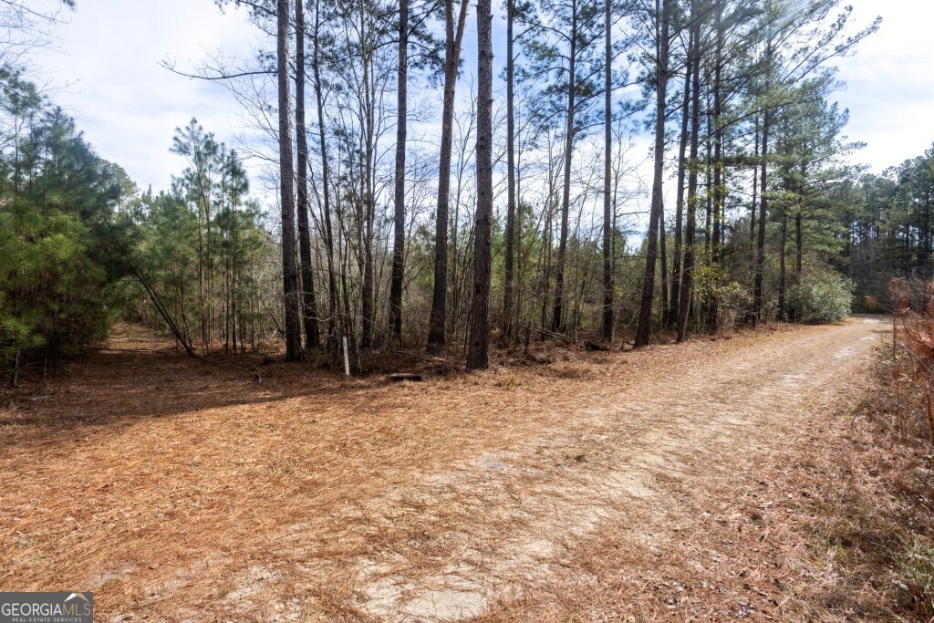 0 Riggs Mill La Riggs Mill Lane Statesboro GA 30458