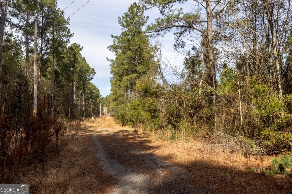 0 Riggs Mill La Riggs Mill Lane Statesboro GA 30458