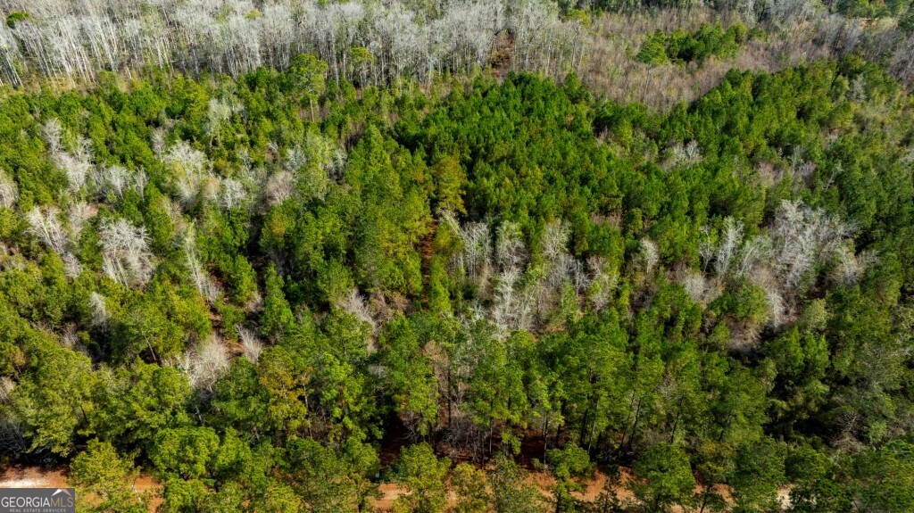 0 Riggs Mill La Riggs Mill Lane Statesboro GA 30458