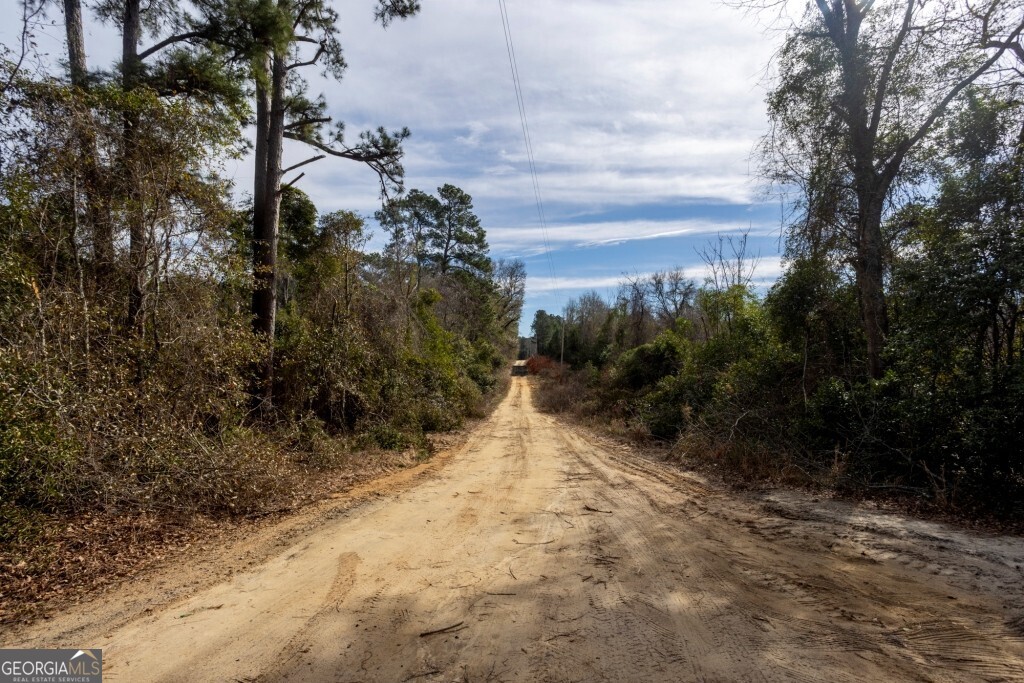 0 Riggs Mill La Riggs Mill Lane Statesboro GA 30458